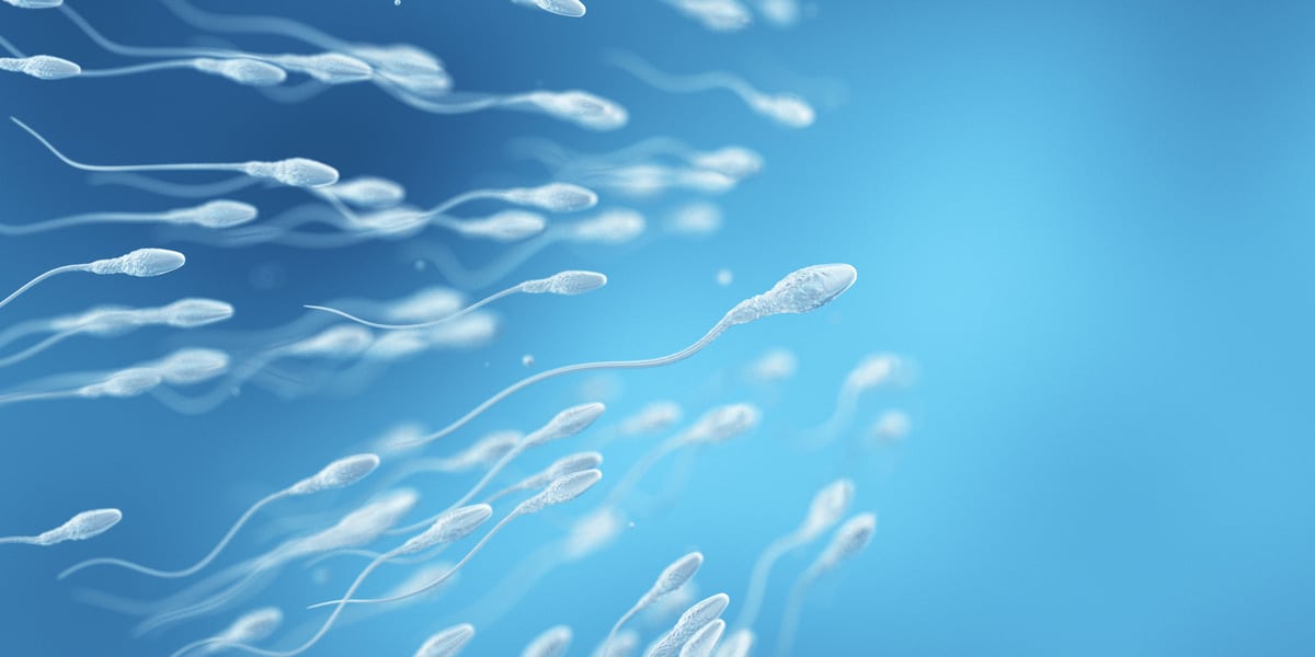Genetic Testing