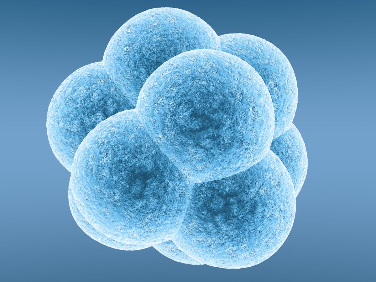 IUI Treatment