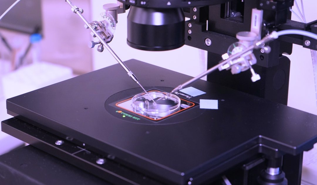 What Is IVF?